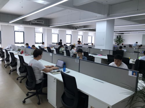 聚焦石家莊電子信息產(chǎn)業(yè) 神玥軟件數(shù)字化發(fā)展迎來(lái)黃金期